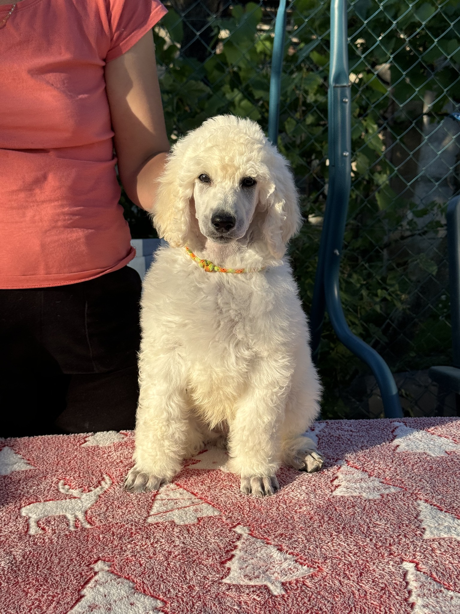 Giant Miracles Cool Christian Dior